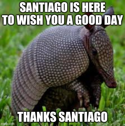 santiago | SANTIAGO IS HERE TO WISH YOU A GOOD DAY; THANKS SANTIAGO | image tagged in cute animals | made w/ Imgflip meme maker