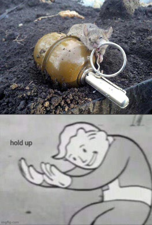 Don't do it lol | image tagged in fallout hold up,fail | made w/ Imgflip meme maker