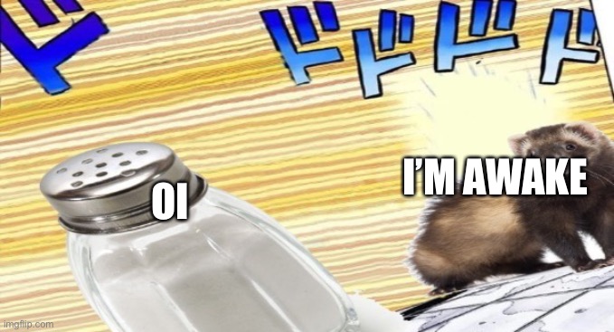 Salt versus ferret | I’M AWAKE; OI | image tagged in salt versus ferret | made w/ Imgflip meme maker