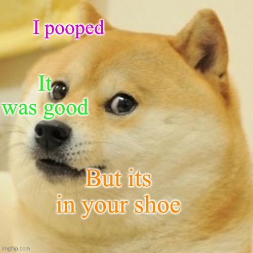 Doge Meme | I pooped; It was good; But its in your shoe | image tagged in memes,doge | made w/ Imgflip meme maker