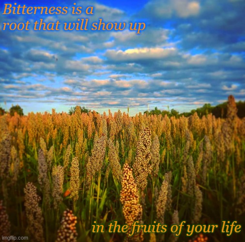 Bitterness | Bitterness is a root that will show up; in the fruits of your life | image tagged in fields,sky | made w/ Imgflip meme maker
