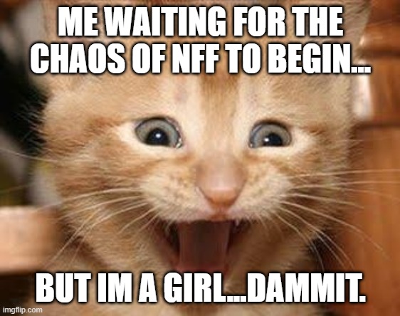 i shall escape... | ME WAITING FOR THE CHAOS OF NFF TO BEGIN... BUT IM A GIRL...DAMMIT. | image tagged in memes,excited cat | made w/ Imgflip meme maker