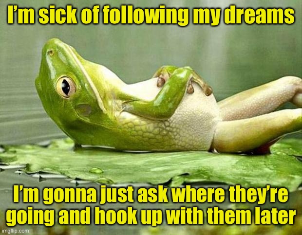 Following dreams | I’m sick of following my dreams; I’m gonna just ask where they’re going and hook up with them later | image tagged in lazy frog,follow your dreams | made w/ Imgflip meme maker