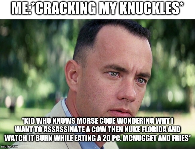 And Just Like That | ME:*CRACKING MY KNUCKLES*; *KID WHO KNOWS MORSE CODE WONDERING WHY I WANT TO ASSASSINATE A COW THEN NUKE FLORIDA AND WATCH IT BURN WHILE EATING A 20 PC. MCNUGGET AND FRIES* | image tagged in memes,and just like that | made w/ Imgflip meme maker