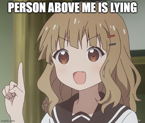 The person above me | PERSON ABOVE ME IS LYING | image tagged in the person above me | made w/ Imgflip meme maker
