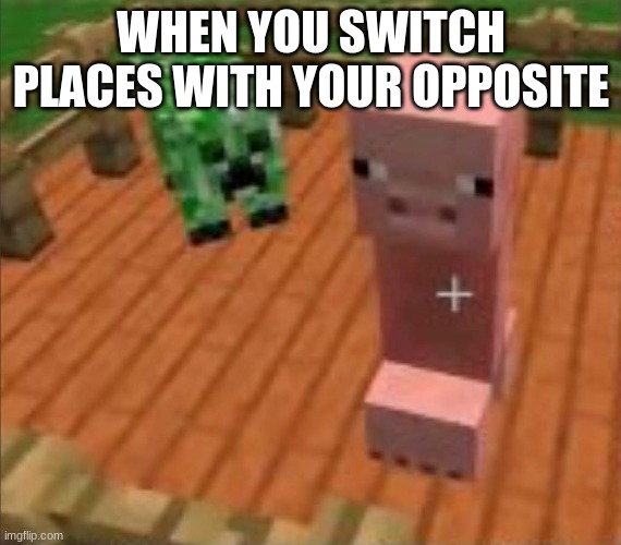 WHEN YOU SWITCH PLACES WITH YOUR OPPOSITE | image tagged in minecraft,help me,i have no idea what i am doing,i am your father | made w/ Imgflip meme maker