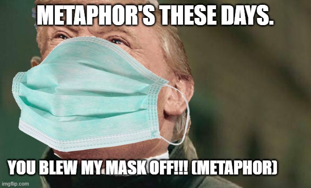 metaphor's these days | METAPHOR'S THESE DAYS. YOU BLEW MY MASK OFF!!! (METAPHOR) | image tagged in lol | made w/ Imgflip meme maker