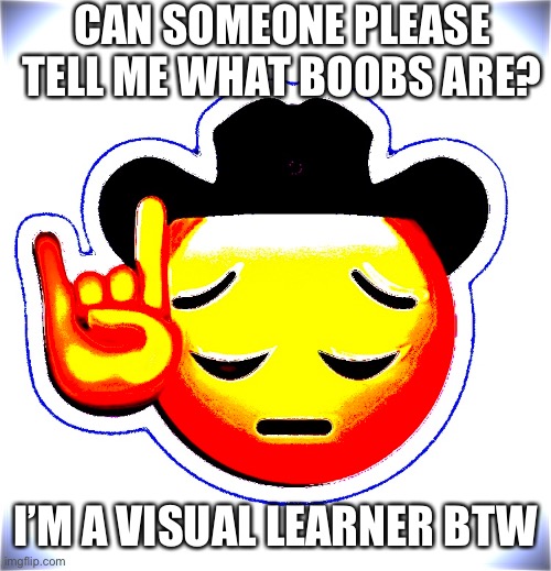that was tucker. ~stellar | CAN SOMEONE PLEASE TELL ME WHAT BOOBS ARE? I’M A VISUAL LEARNER BTW | made w/ Imgflip meme maker