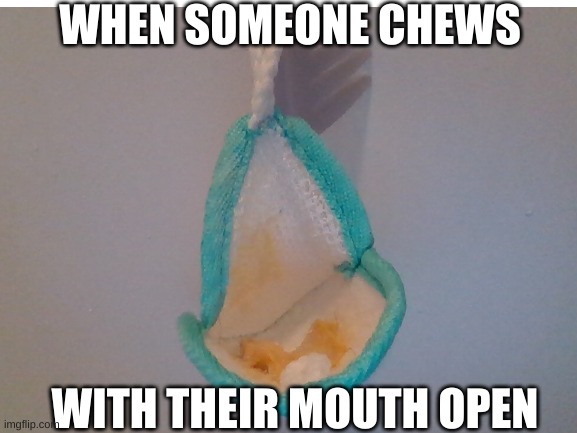 Mouth Open | WHEN SOMEONE CHEWS; WITH THEIR MOUTH OPEN | image tagged in memes | made w/ Imgflip meme maker