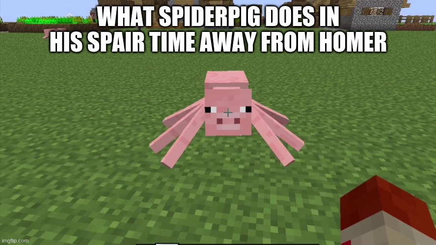 spooder pig | WHAT SPIDERPIG DOES IN HIS SPAIR TIME AWAY FROM HOMER | image tagged in spooder pig | made w/ Imgflip meme maker