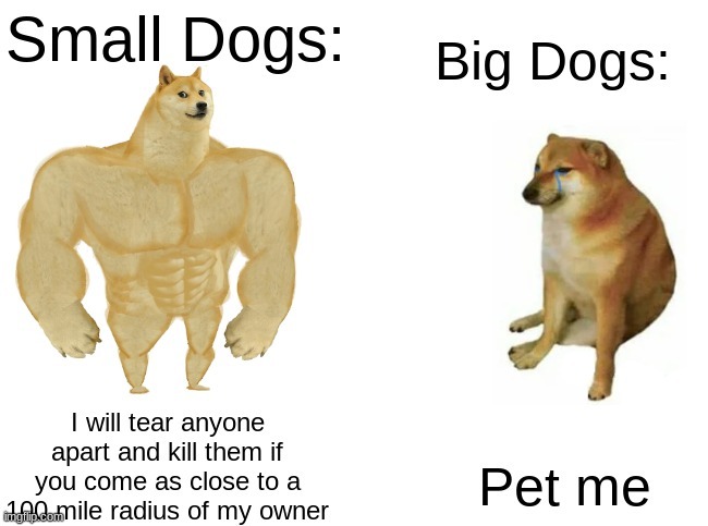 Pet Meh Master | image tagged in buff doge vs cheems | made w/ Imgflip meme maker