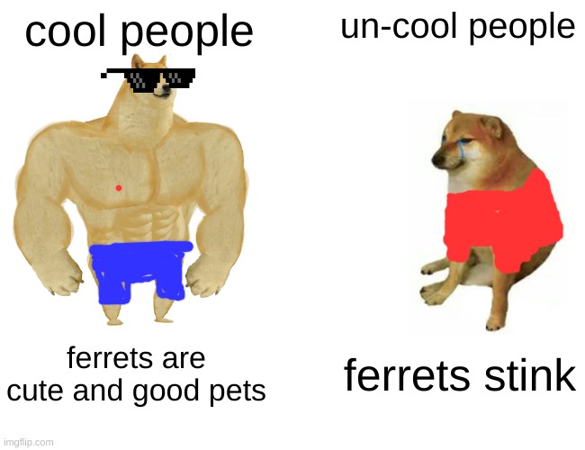 ferrets | cool people; un-cool people; ferrets are cute and good pets; ferrets stink | image tagged in memes,buff doge vs cheems | made w/ Imgflip meme maker