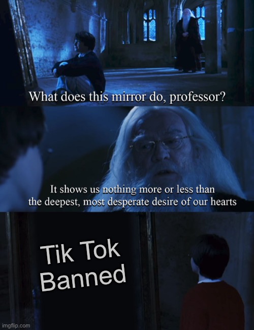 Tik Tok must be banned! | Tik Tok
Banned | image tagged in harry potter mirror,funny,memes,harry potter,tik tok,tiktok | made w/ Imgflip meme maker