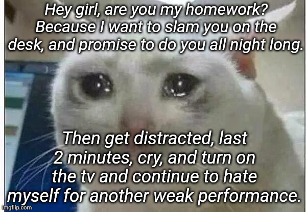 crying cat | Hey girl, are you my homework? Because I want to slam you on the desk, and promise to do you all night long. Then get distracted, last 2 minutes, cry, and turn on the tv and continue to hate myself for another weak performance. | image tagged in crying cat | made w/ Imgflip meme maker