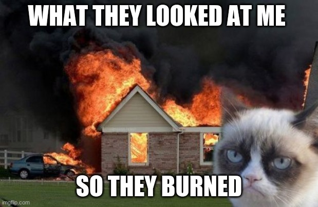 Burn Kitty | WHAT THEY LOOKED AT ME; SO THEY BURNED | image tagged in memes,burn kitty,grumpy cat | made w/ Imgflip meme maker