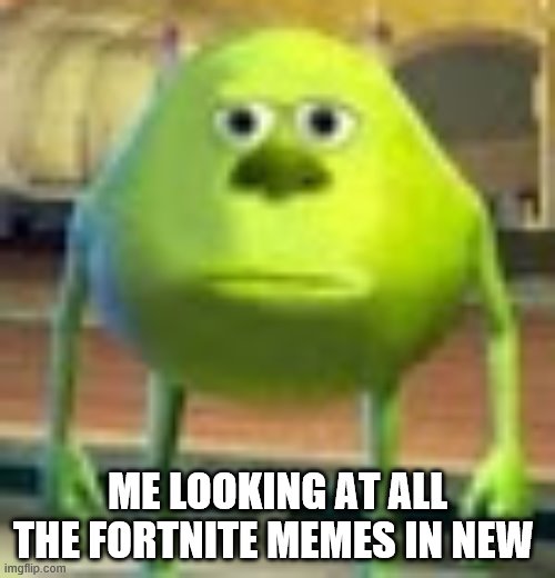 bruh | ME LOOKING AT ALL THE FORTNITE MEMES IN NEW | image tagged in sully wazowski | made w/ Imgflip meme maker