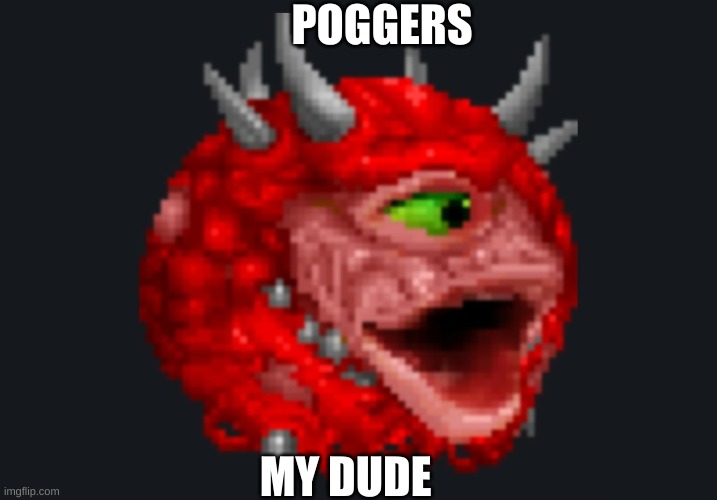 pog | POGGERS; MY DUDE | image tagged in pogerrs | made w/ Imgflip meme maker