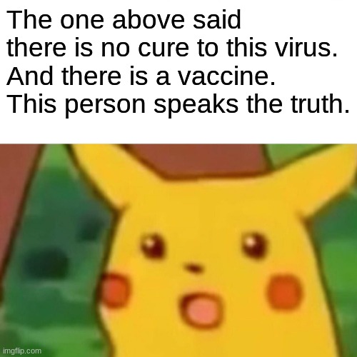 Surprised Pikachu Meme | The one above said there is no cure to this virus. And there is a vaccine. This person speaks the truth. | image tagged in memes,surprised pikachu | made w/ Imgflip meme maker
