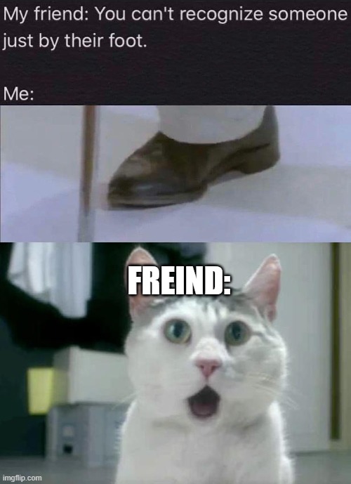 Yep, Proved Wrong | FREIND: | image tagged in memes,omg cat | made w/ Imgflip meme maker