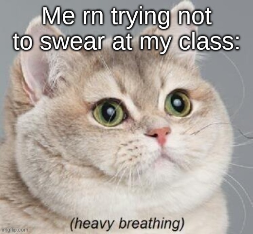 Heavy Breathing Cat Meme | Me rn trying not to swear at my class: | image tagged in memes,heavy breathing cat | made w/ Imgflip meme maker