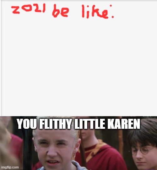 Malfoy | YOU FLITHY LITTLE KAREN | image tagged in draco malfoy,karen | made w/ Imgflip meme maker