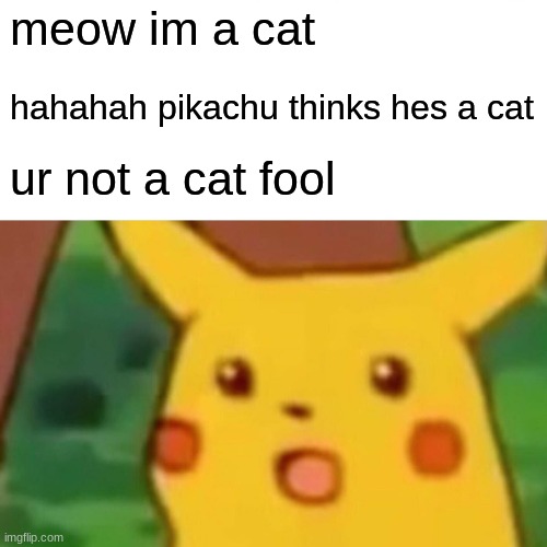 Surprised Pikachu | meow im a cat; hahahah pikachu thinks hes a cat; ur not a cat fool | image tagged in memes,surprised pikachu | made w/ Imgflip meme maker