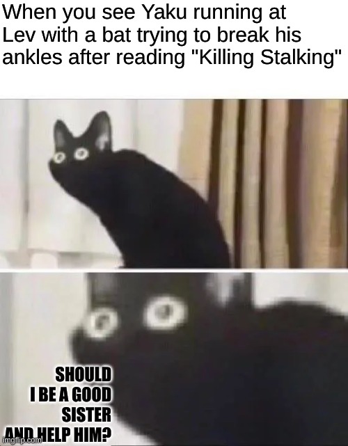 Should I? | When you see Yaku running at Lev with a bat trying to break his ankles after reading "Killing Stalking"; SHOULD I BE A GOOD SISTER AND HELP HIM? | image tagged in oh no black cat | made w/ Imgflip meme maker