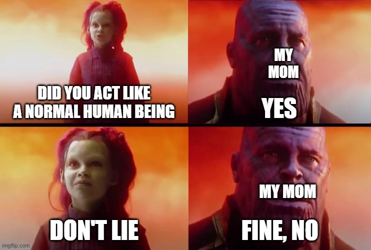 thanos what did it cost | MY MOM; DID YOU ACT LIKE A NORMAL HUMAN BEING; YES; MY MOM; DON'T LIE; FINE, NO | image tagged in thanos what did it cost | made w/ Imgflip meme maker