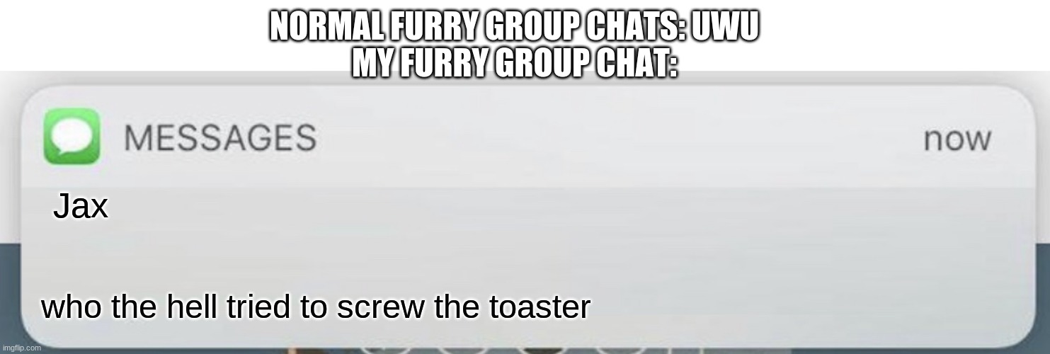 Messages | NORMAL FURRY GROUP CHATS: UWU
MY FURRY GROUP CHAT:; Jax; who the hell tried to screw the toaster | image tagged in messages | made w/ Imgflip meme maker
