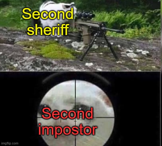 cat sniper | Second sheriff Second impostor | image tagged in cat sniper | made w/ Imgflip meme maker