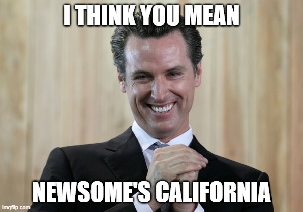 Scheming Gavin Newsom  | I THINK YOU MEAN NEWSOME'S CALIFORNIA | image tagged in scheming gavin newsom | made w/ Imgflip meme maker