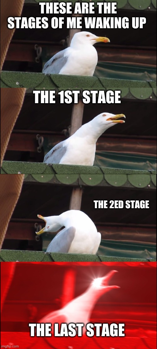 Inhaling Seagull Meme | THESE ARE THE STAGES OF ME WAKING UP; THE 1ST STAGE; THE 2ED STAGE; THE LAST STAGE | image tagged in memes,inhaling seagull | made w/ Imgflip meme maker