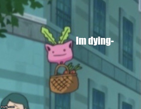 Im dying | image tagged in im dying | made w/ Imgflip meme maker