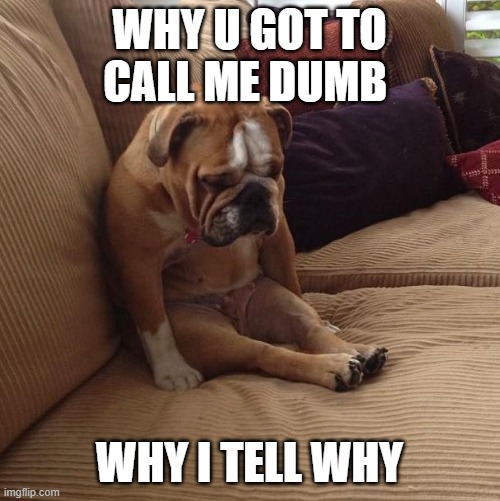 bulldogsad | WHY U GOT TO CALL ME DUMB; WHY I TELL WHY | image tagged in bulldogsad | made w/ Imgflip meme maker
