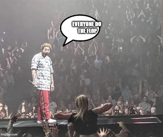 Post Malone Concert Meme | EVERYONE DO
 THE FLOP | image tagged in post malone concert meme,do the flop | made w/ Imgflip meme maker