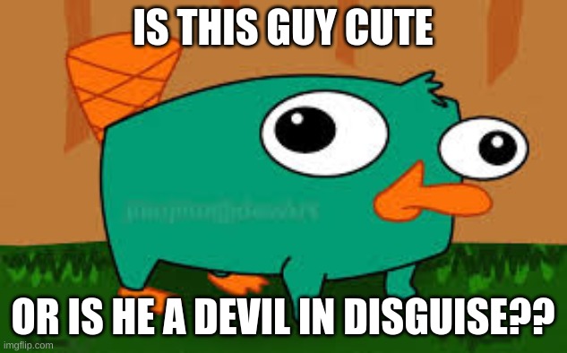 Perry the platypus | IS THIS GUY CUTE; OR IS HE A DEVIL IN DISGUISE?? | image tagged in cute animals | made w/ Imgflip meme maker