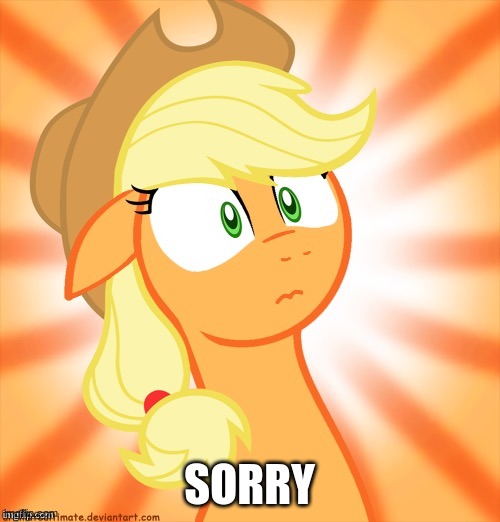 Shocked Applejack | SORRY | image tagged in shocked applejack | made w/ Imgflip meme maker