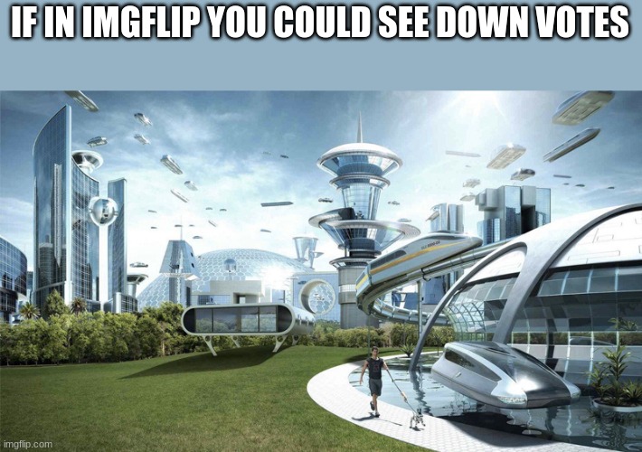 oof | IF IN IMGFLIP YOU COULD SEE DOWN VOTES | image tagged in the future world if | made w/ Imgflip meme maker