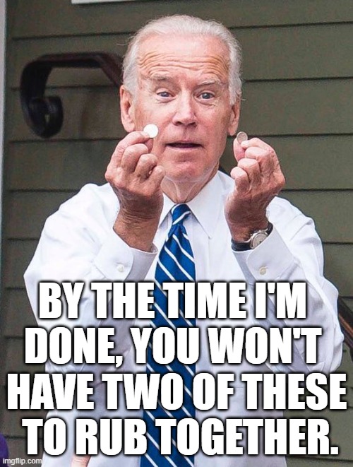 Why in God's name did you people vote for this? | BY THE TIME I'M 
DONE, YOU WON'T 
HAVE TWO OF THESE
 TO RUB TOGETHER. | image tagged in joe biden,memes | made w/ Imgflip meme maker
