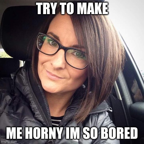 lol | TRY TO MAKE; ME HORNY IM SO BORED | image tagged in brunette milf | made w/ Imgflip meme maker