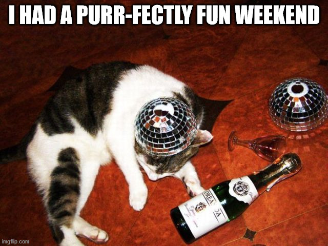 I HAD A PURR-FECTLY FUN WEEKEND | image tagged in cats | made w/ Imgflip meme maker