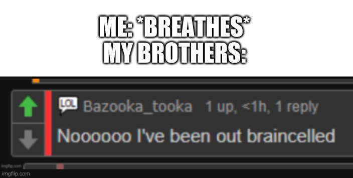 I took the opportunity to spread the truth | ME: *BREATHES*


MY BROTHERS: | image tagged in out braincelled | made w/ Imgflip meme maker