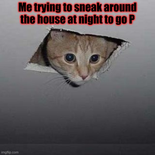 Ceiling Cat Meme | Me trying to sneak around the house at night to go P | image tagged in memes,ceiling cat | made w/ Imgflip meme maker