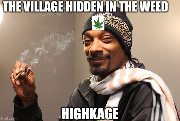Snoop Dogg | THE VILLAGE HIDDEN IN THE WEED; HIGHKAGE | image tagged in snoop dogg | made w/ Imgflip meme maker