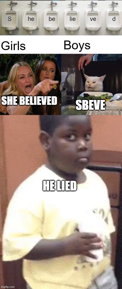 Boys; Girls; SHE BELIEVED; SBEVE; HE LIED | image tagged in memes,woman yelling at cat | made w/ Imgflip meme maker