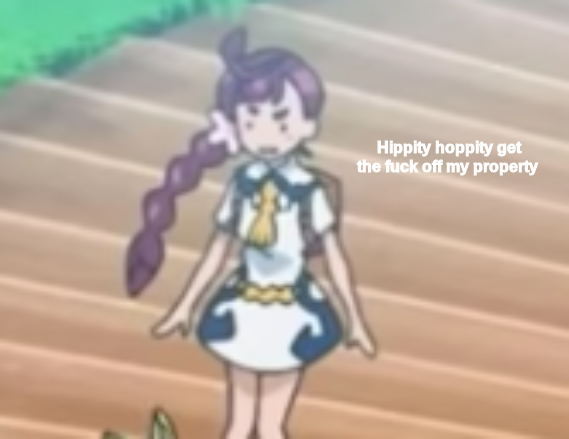 Hippity Hoppity get off my property Blank Meme Template