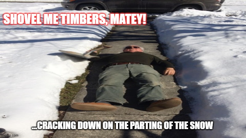 Snow | SHOVEL ME TIMBERS, MATEY! ...CRACKING DOWN ON THE PARTING OF THE SNOW | image tagged in cute | made w/ Imgflip meme maker