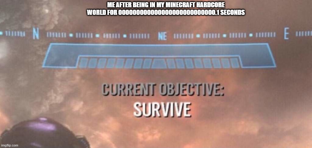 ME AFTER BEING IN MY MINECRAFT HARDCORE WORLD FOR 000000000000000000000000000.1 SECONDS | image tagged in current objective survive | made w/ Imgflip meme maker