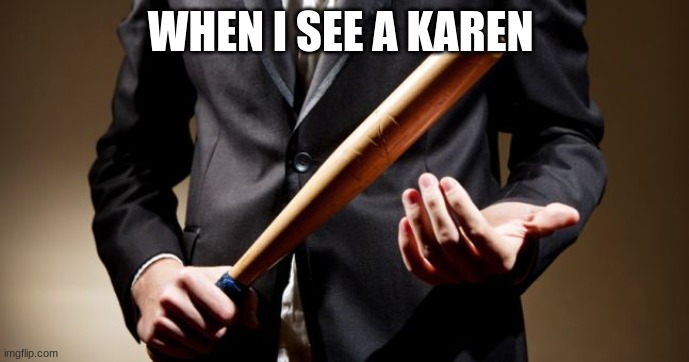 first mem on da strem |  WHEN I SEE A KAREN | image tagged in baseball bat | made w/ Imgflip meme maker