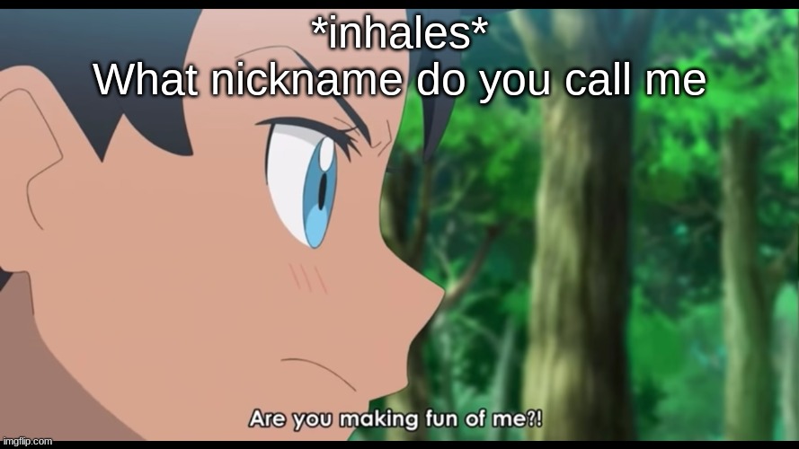 Are you making fun of me?! | *inhales*
What nickname do you call me | image tagged in are you making fun of me,bitch please | made w/ Imgflip meme maker
